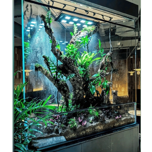 米熊 生态雨林缸 水陆缸 热带雨林造景缸超白蜥蜴爬虫玻璃定制