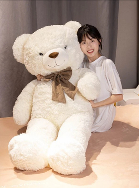 毛绒玩具大熊公仔睡觉抱枕泰迪熊娃娃抱抱熊女孩生日礼物大号玩偶