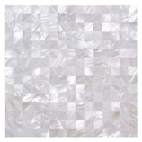 2.0 Двойная ультра -белая плотность (модель заднего клея)