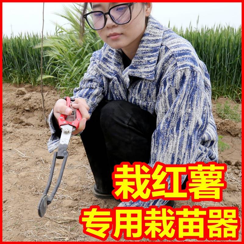 红薯栽苗器红薯苗烟薯密薯栽苗神器农用栽地瓜种薯机械移苗插苗机