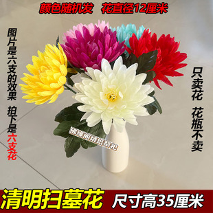 清明节扫墓祭奠亲人墓碑摆放菊花五彩农村坟头插的话