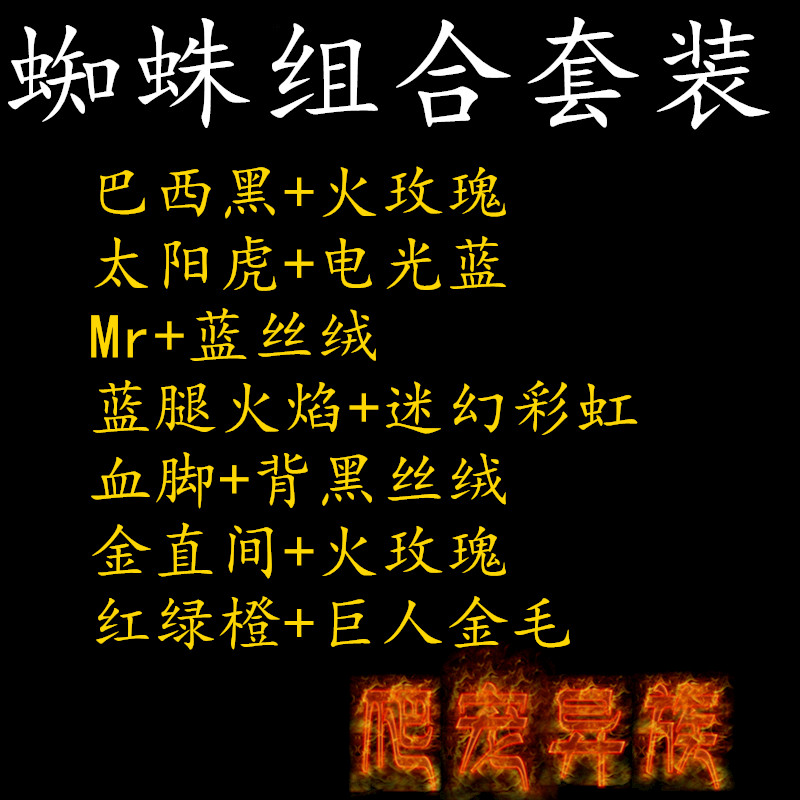 蜘蛛套餐組合活體寵物蜘蛛直播蜘蛛火玫瑰巴西黑金直間蜘蛛合集