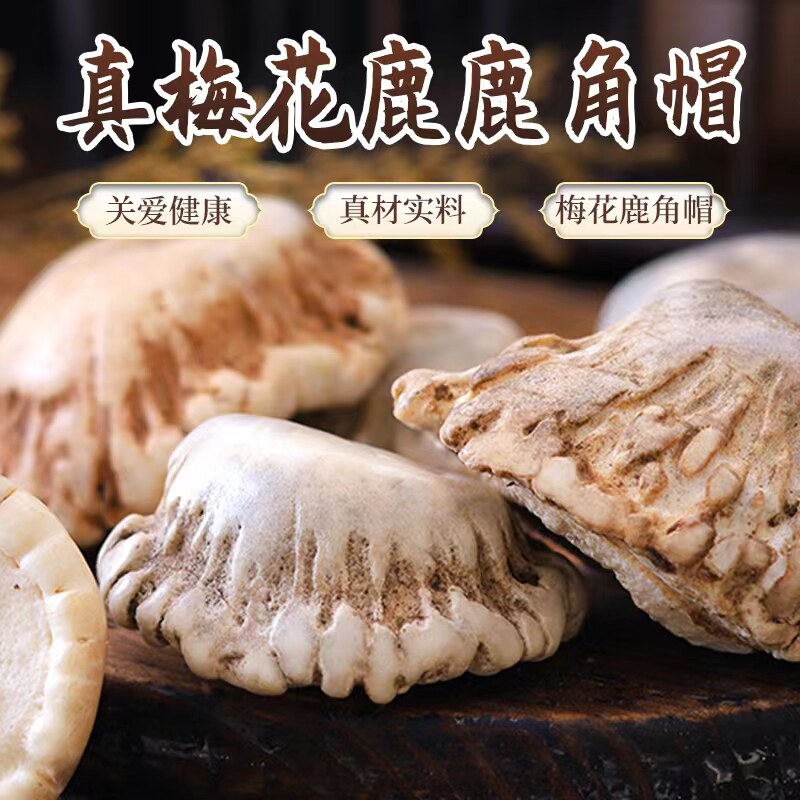 养鹿人鹿角帽粉200g梅花鹿鹿角帽鹿托盘关爱女性乳腺正品打粉
