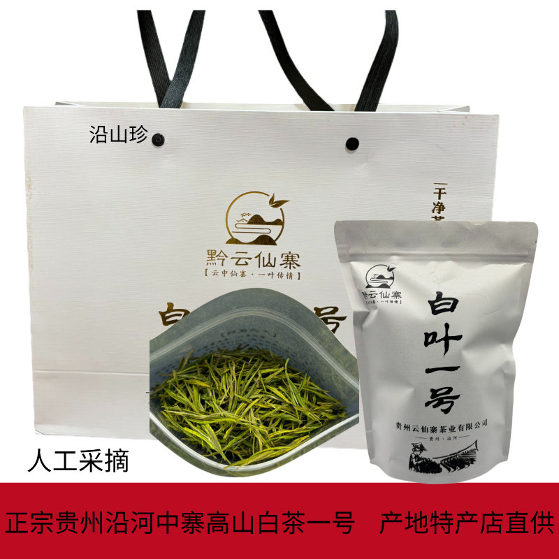 2025新茶明前春茶嫩芽采摘白茶正宗贵州特产高山沿河白茶一号绿茶