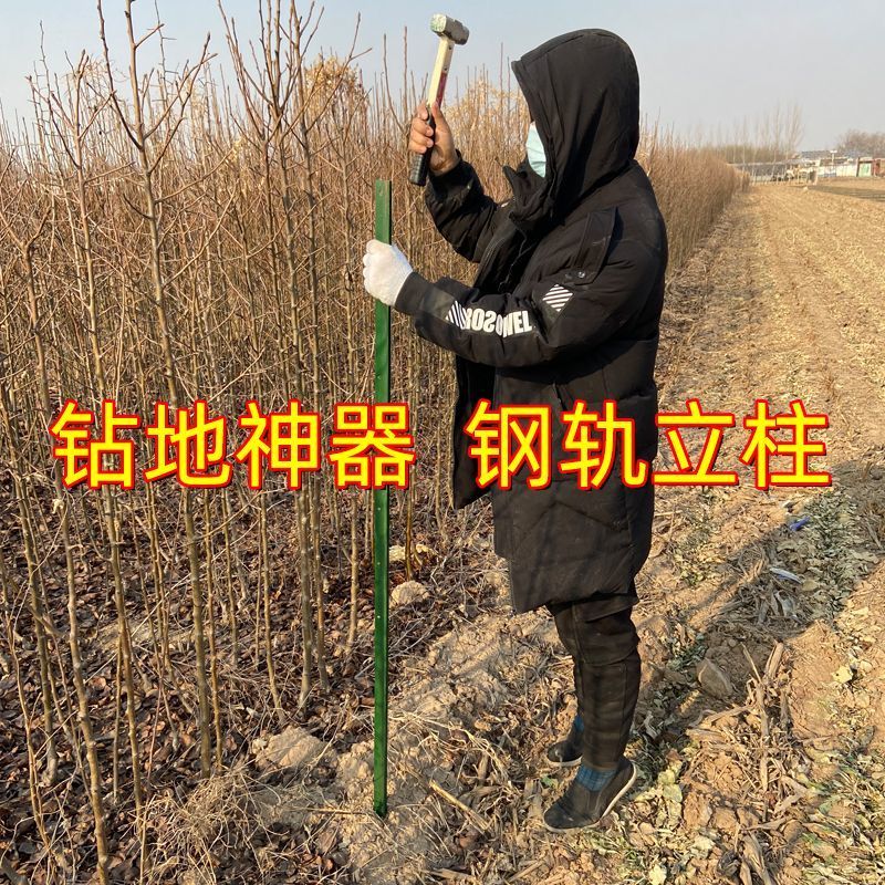 y型立柱牛防撞铁丝网庭院