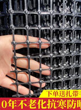 加厚塑料围栏网养殖专用网养鸡养鸭防护网隔离网动物漏粪网玉米网