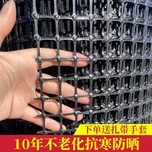 加厚塑料围栏网养殖专用网养鸡养鸭防护网隔离网动物漏粪网玉米网