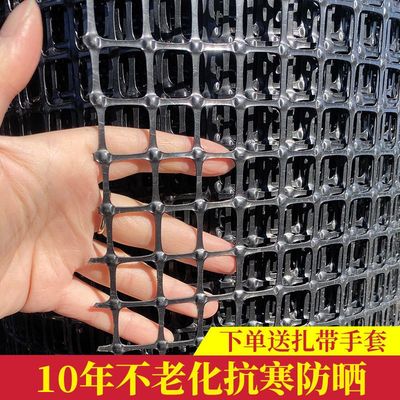 加厚塑料围栏网养殖专用网养鸡养鸭防护网隔离网动物漏粪网玉米网