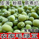 毛綠豆山東農(nóng)家自種能生發(fā)豆芽綠豆湯2024新貨特級優(yōu)質(zhì)新鮮綠豆