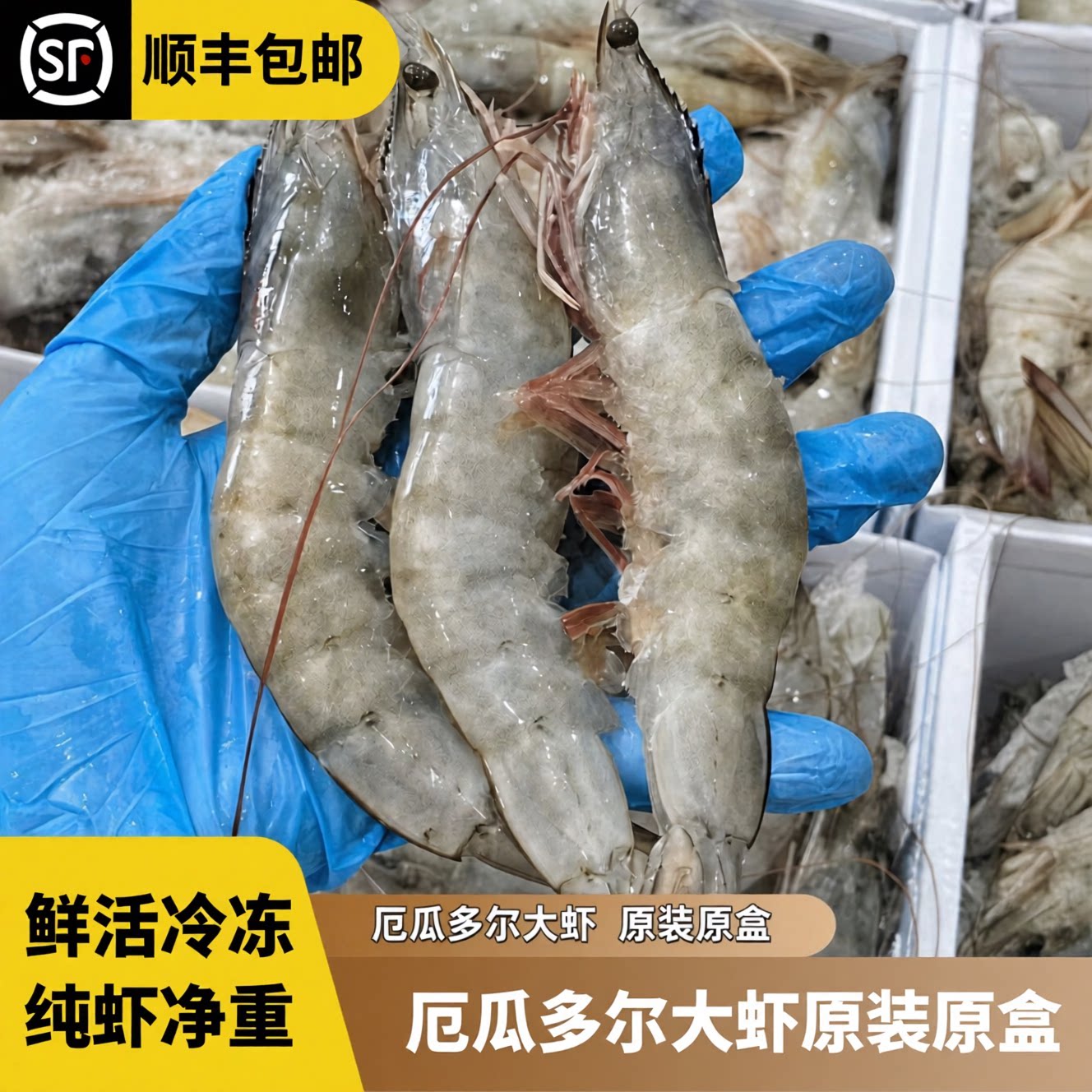 厄瓜多尔南美白对虾特大鲜活盐冻