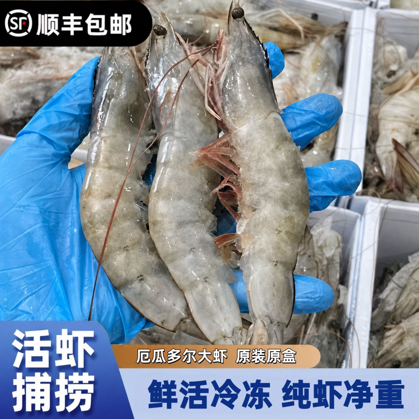 厄瓜多尔南美白虾大规格鲜活速冻