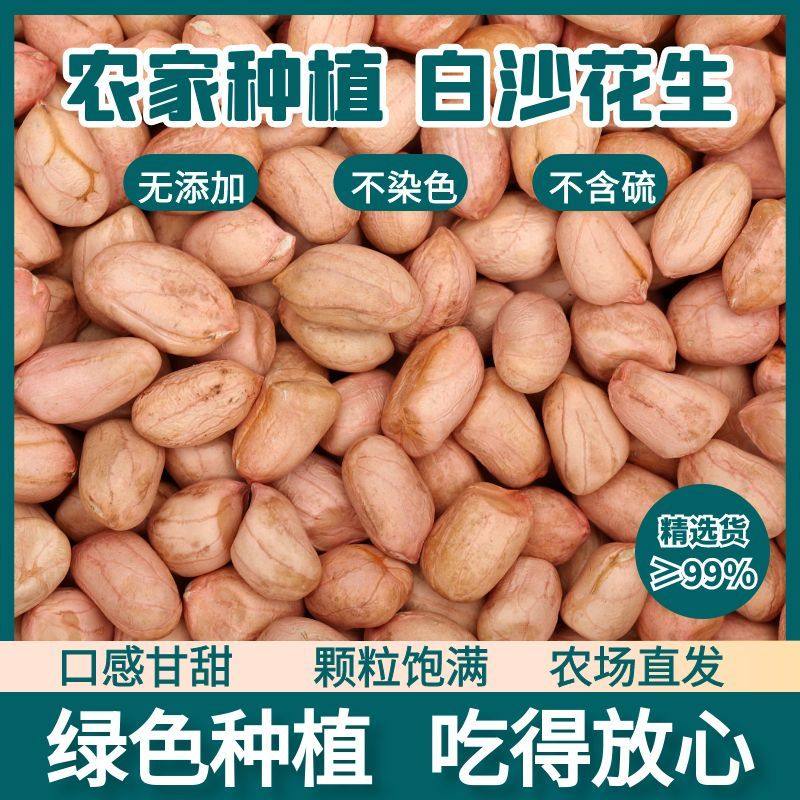 2025年南阳白沙花生米新鲜脱壳生花生仁无壳精选批发,水产肉类/新鲜蔬果/熟食,新鲜花生,淘宝优惠券,粉丝福利购,淘宝优惠卷