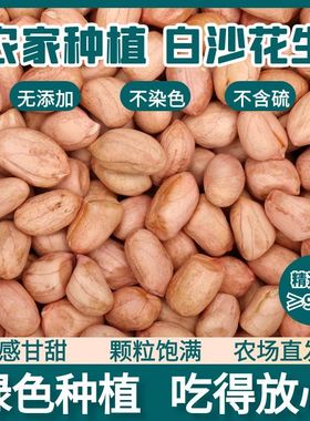 2025年南阳白沙花生米新鲜脱壳生花生仁无壳精选批发