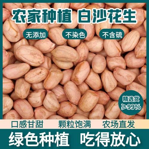 精选8mm以上大颗粒白沙花生米