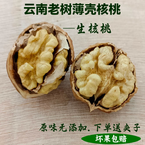 26云南正宗老树核桃薄皮核桃