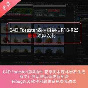 C4D Forester植物插件花草树木森林岩石生成r18-r26 win