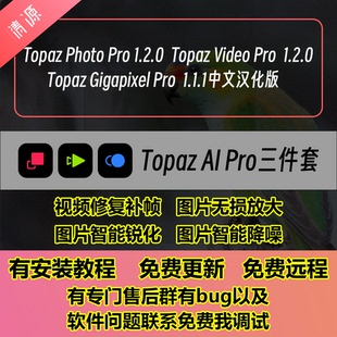 Topaz Video Photo Gigapixel AI Pro中文汉化版图片视频处理软件