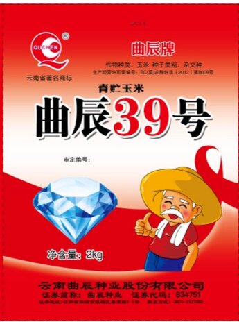 曲辰39号 高产大穗大粒玉米品种 西南国审 抗病性好 适应性广