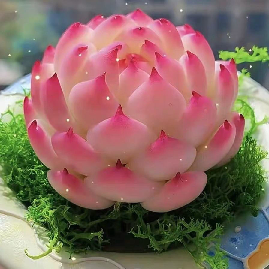 粉色多肉植物莲花造型带盆栽