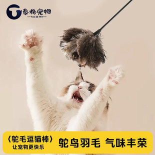 驼鸟毛逗猫棒猫咪玩具自嗨解闷气味丰荣天然羽毛厚不掉毛耐咬除尘