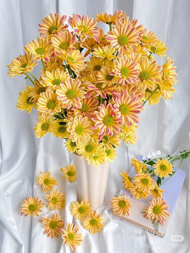 大花型）黄）斑纹小菊10支 【不包邮需要拍邮费