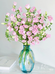 包邮 不 需要拍邮费 粉 风铃花一扎