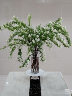 A级小手球2扎 包邮 顺丰冷链 偏远补邮费 1.2长 必拍