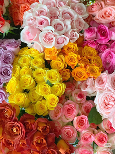 包邮 必拍 顺丰空运 50支 玫瑰盲盒40