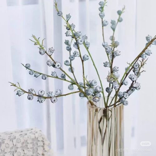 尤加利果一扎 【不包邮需要拍邮费