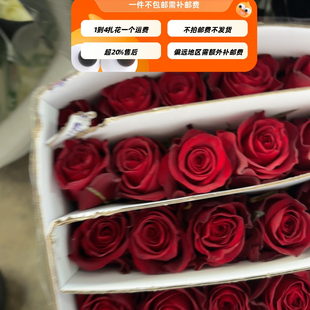 A级高原红玫瑰18-20只 需要拍邮费