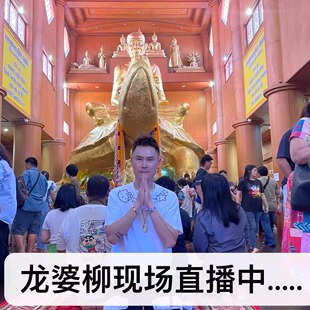 泰国原庙自身招米龟吊坠项链正品素斋龟挂手链龙婆柳佛牌清债财龟