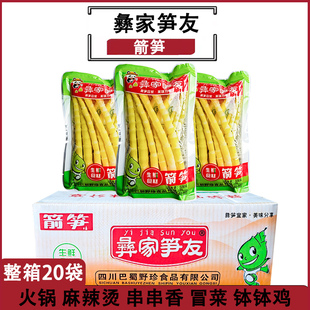彝家笋友箭笋500g*20袋盐水竹笋四川巴蜀生鲜食材火锅炒菜凉菜