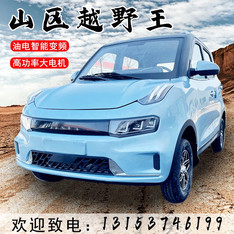 油电家用新能源电瓶女士两用乐轿汽老头4新款小型电动四轮车代步