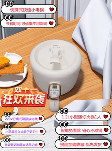 电煮锅小型宿舍学生煮泡面锅迷你电热锅多功能火锅家用电饭煲1人