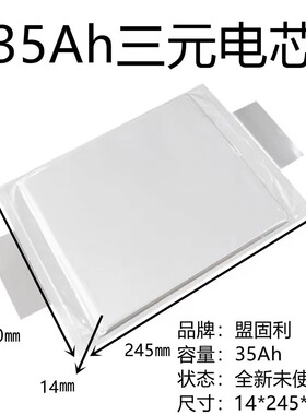 实标三元锂电池大容量120A35A40A电动电瓶动力聚合物电池25A-68Ah