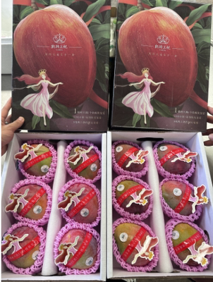 凯特王妃芒果四川攀枝花凯特芒 4-6粒精品果 约5斤礼盒装原箱发货