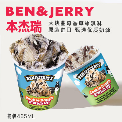 BEN & JERRY'S本杰瑞冰淇淋大块曲奇香草巧克力465ml*2桶