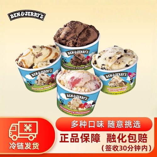 Ben&Jerry's本杰瑞巧克力布朗尼香草冰淇淋进口冰激凌
