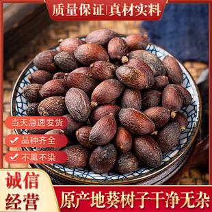 新鲜新款野生中药材500g精选广西大粒葵树子老果子葵扇籽蒲葵籽