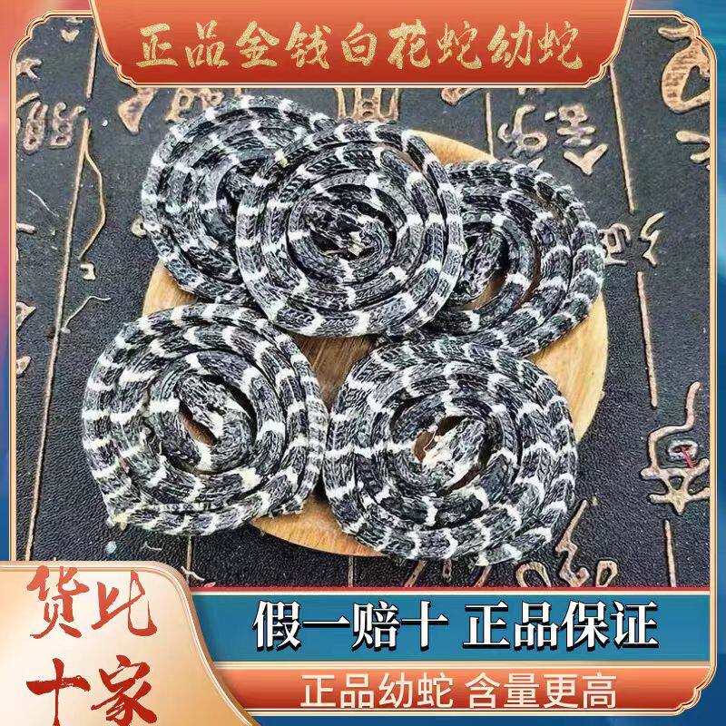 正宗金钱白花蛇一条特级名贵中药材小白花蛇另有乌梢蛇蜈蚣全蝎