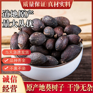 深山野生葵树子中药材500g葵树籽老果葵扇子葵扇籽蒲葵籽