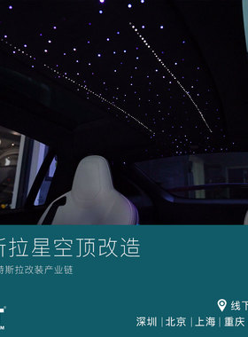 TMT适用特斯拉车内星空顶灯ModelX改装氛围灯满天星装饰灯