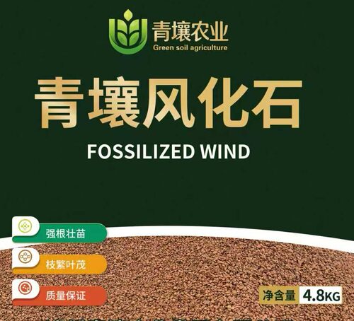 硬质风化石生桩熟桩金弹子老鸦柿花卉绿植盆景兰科多肉4.8公斤