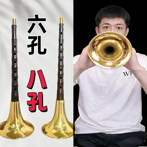 贺老师同款专业唢呐紫光檀黑檀六孔八孔音准通透笛子指法