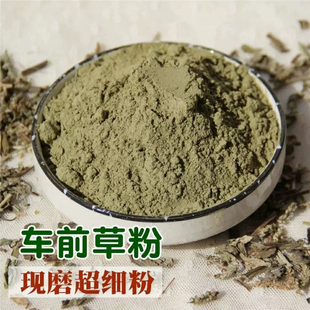 车前草粉中药材正品超细粉食用野生500g包邮车钱草干货泡茶中草药
