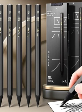真彩黑木铅笔学生写字不断铅hb铅笔幼儿园六角杆正姿写字无毒铅笔