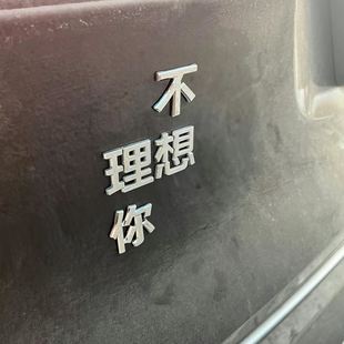 文字车尾标有理想 理想搞笑车标理想个性 人理想是不上班有钱花发