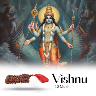 印度国际直邮 VISHHU毗湿奴 金刚菩提子10面Mukhi Rudraksha手串