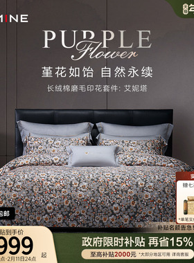 MINE/寐长绒棉双面磨毛四件套纯棉高级床笠秋冬床单套件 艾妮塔