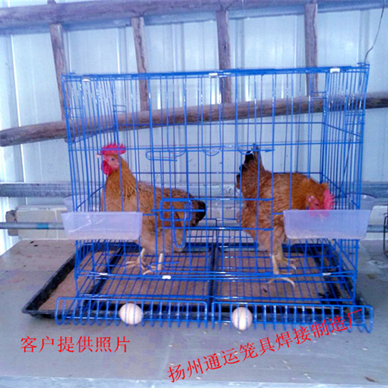 家用鸡笼子养殖家用大号蛋鸡笼折叠土鸡笼母鸡笼自动滚蛋功能